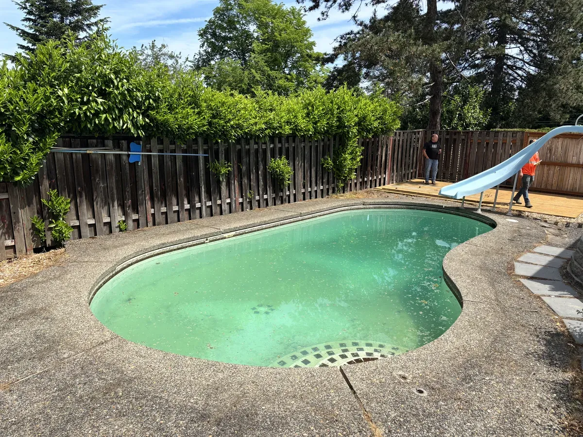 Neglected kidney-shaped pool with green water, weathered fence, and cracked concrete deck