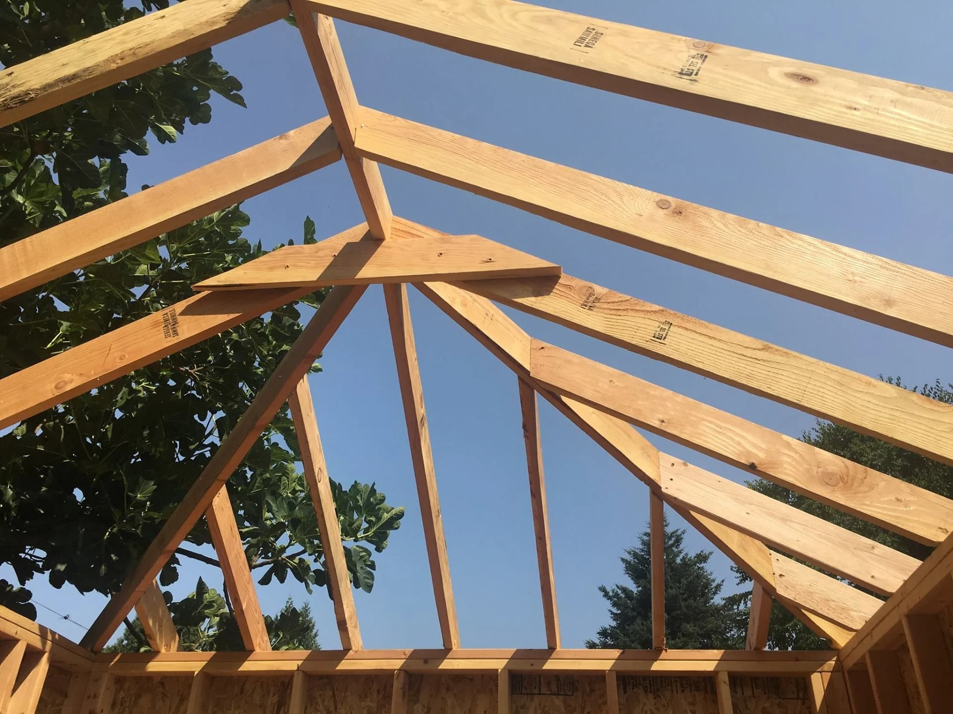 ADU roof framing against a clear sky
