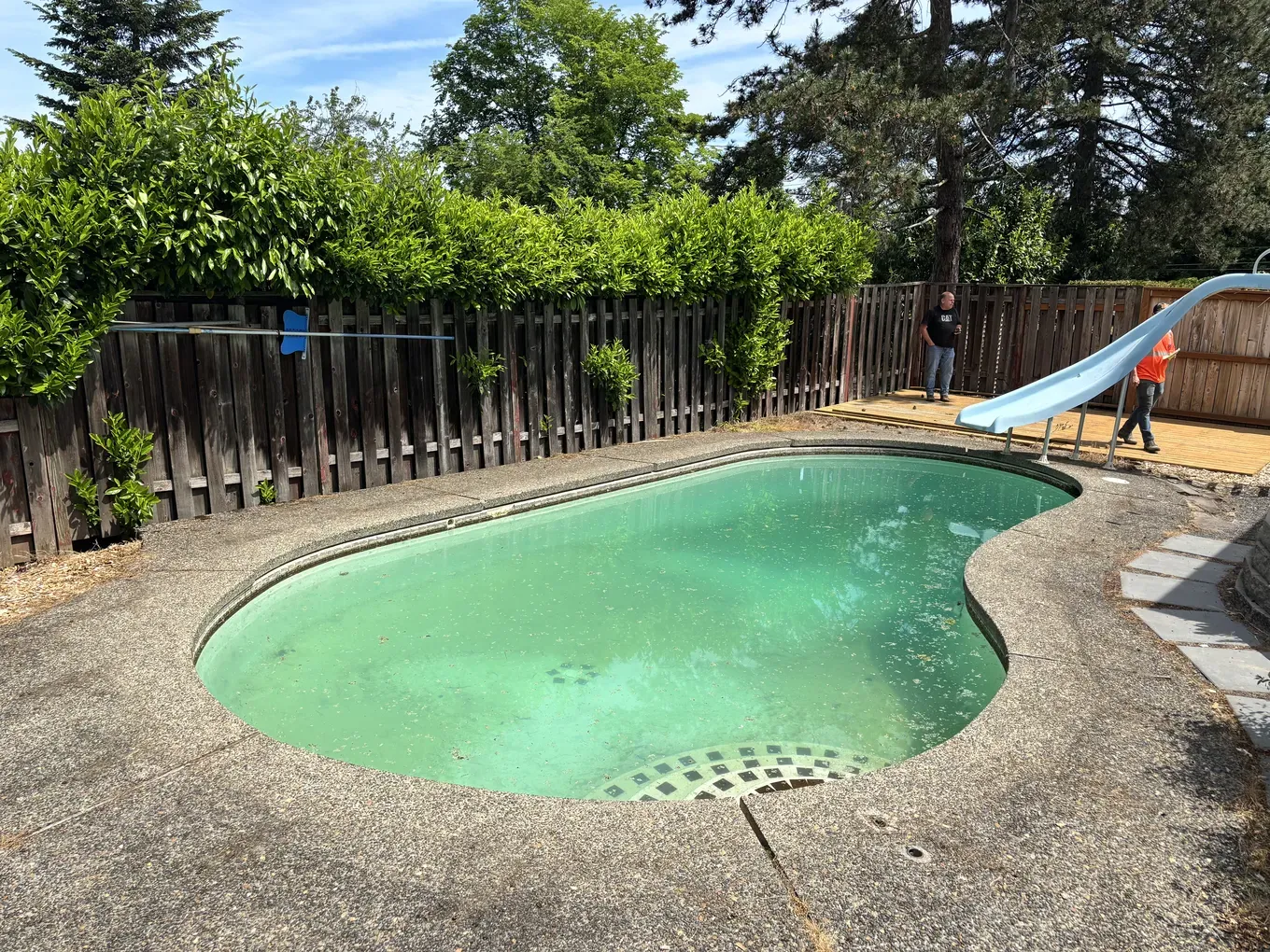 Neglected kidney-shaped pool with green water, weathered fence, and cracked concrete deck before renovation