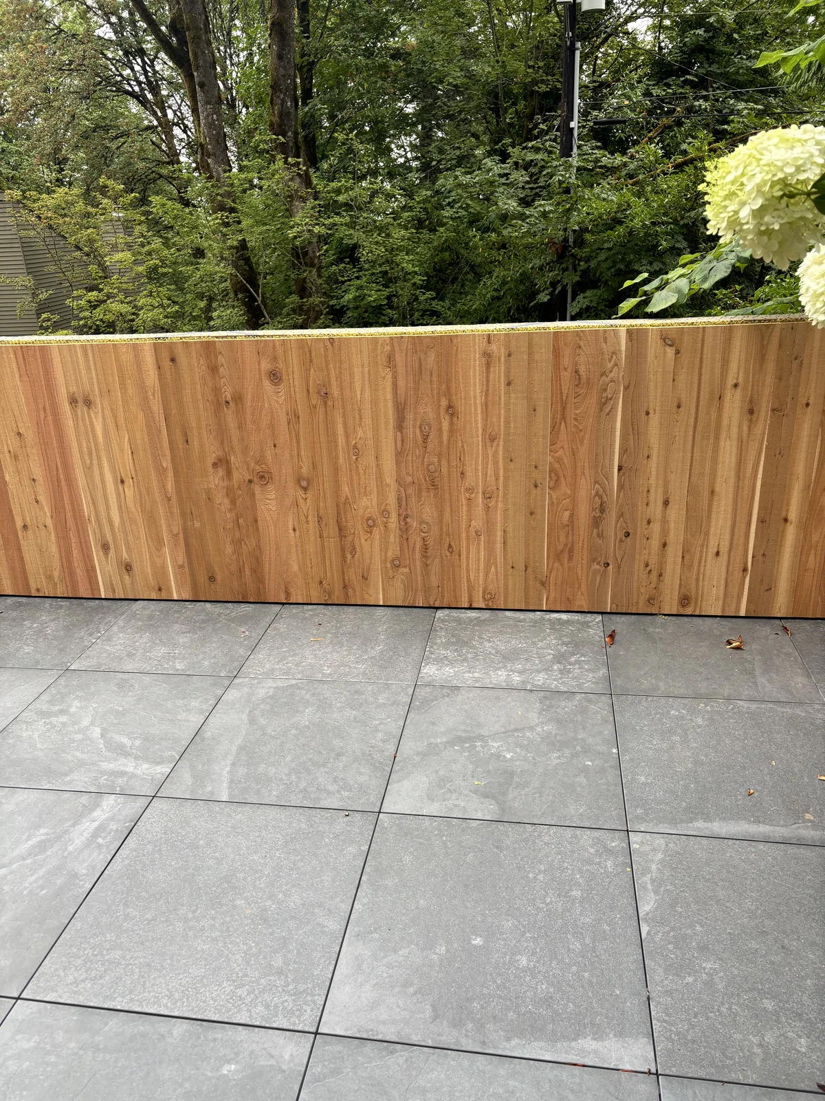 Cedar siding meeting the porcelain pavers